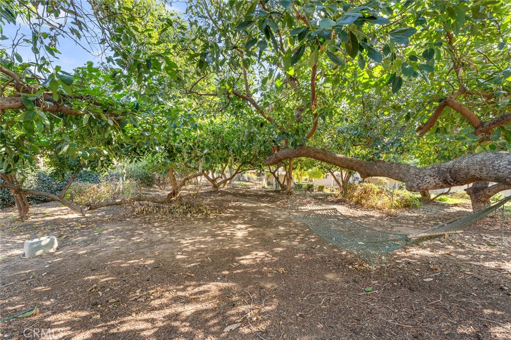 12232 Rosedale Avenue