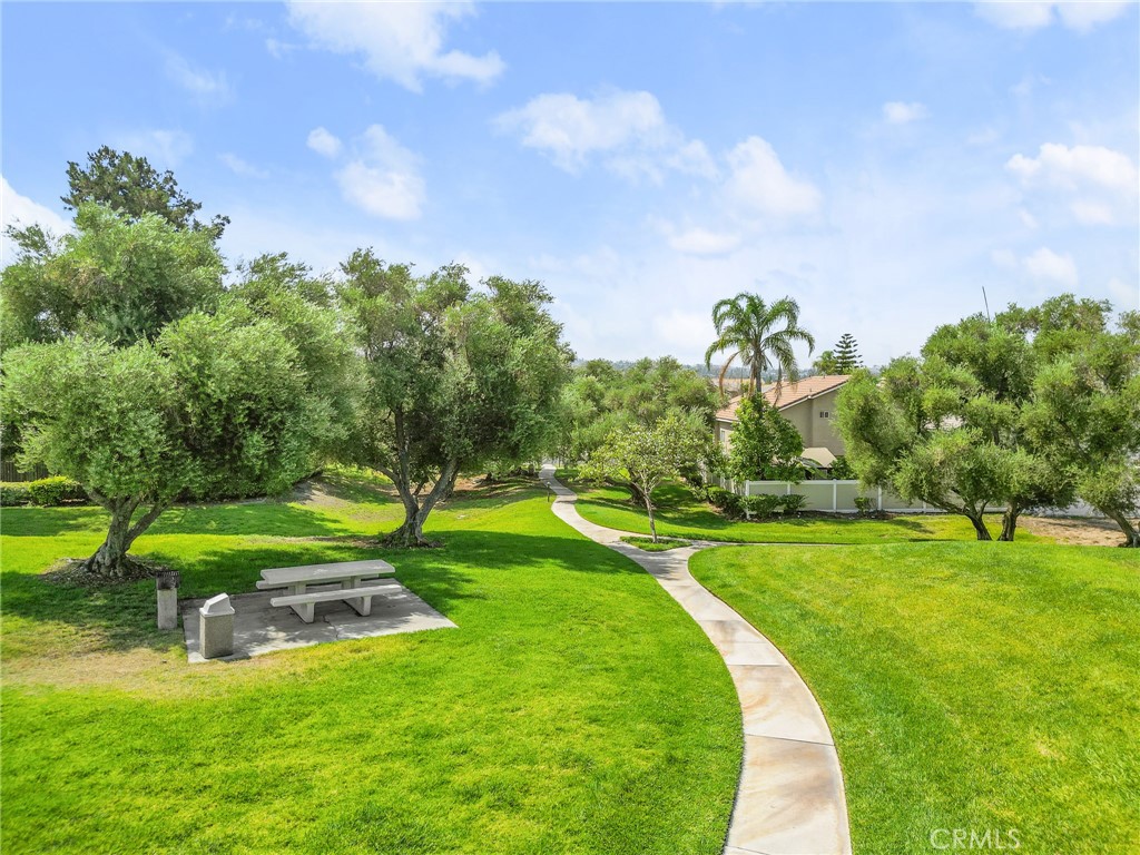 10162 Basalt Lane