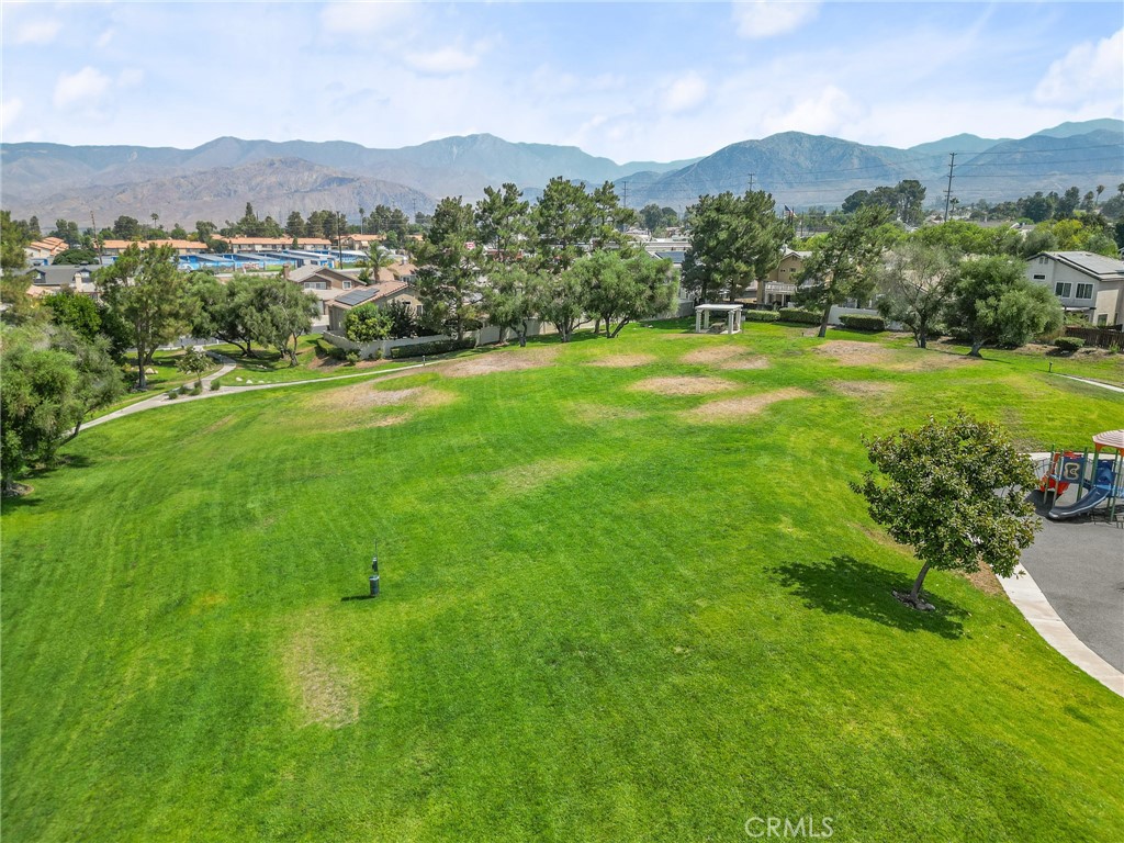 10162 Basalt Lane