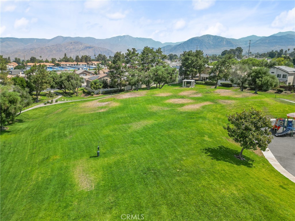 10162 Basalt Lane