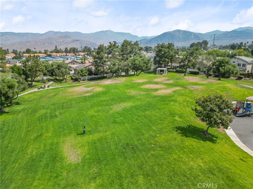 10162 Basalt Lane