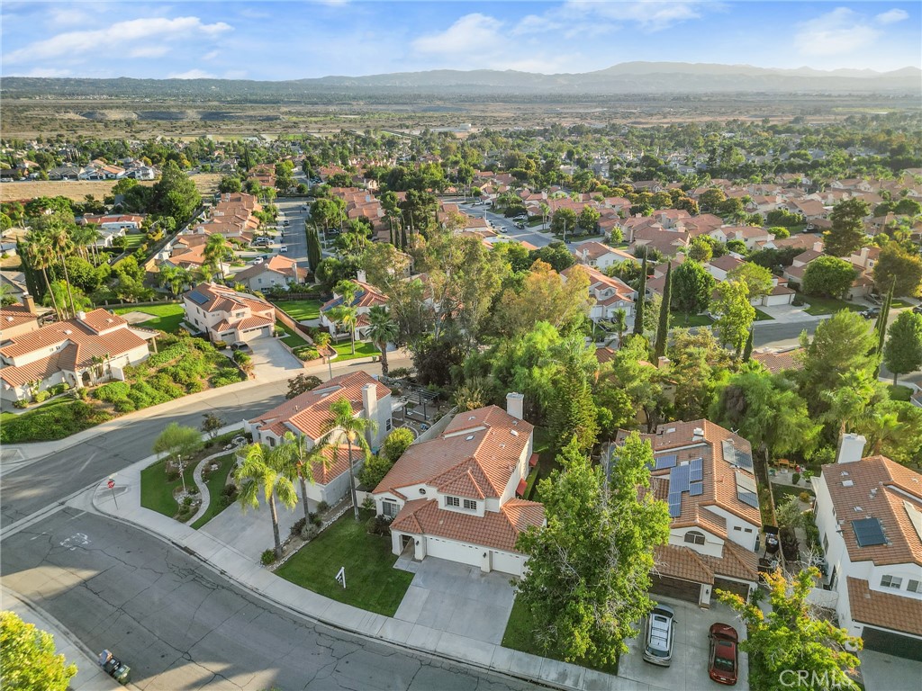 29287 Silverfern Place