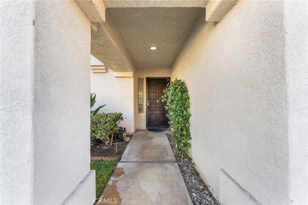 29287 Silverfern Place