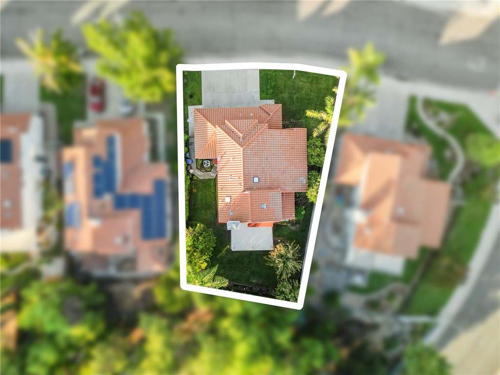 29287 Silverfern Place