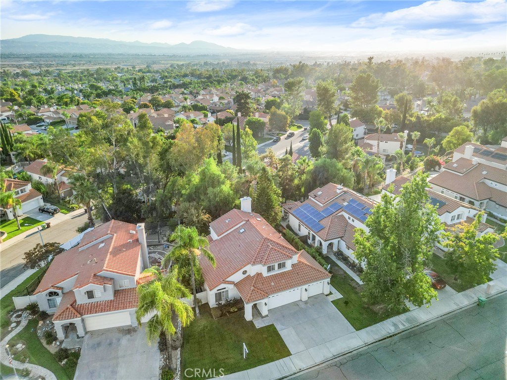 29287 Silverfern Place