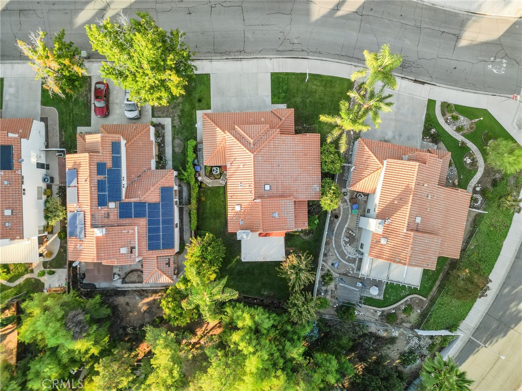 29287 Silverfern Place