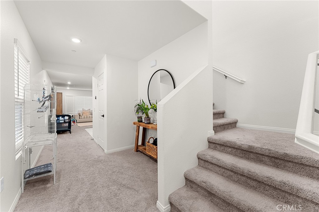 28441 Dusky Willow Drive