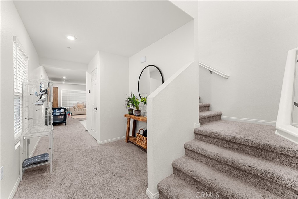 28441 Dusky Willow Drive