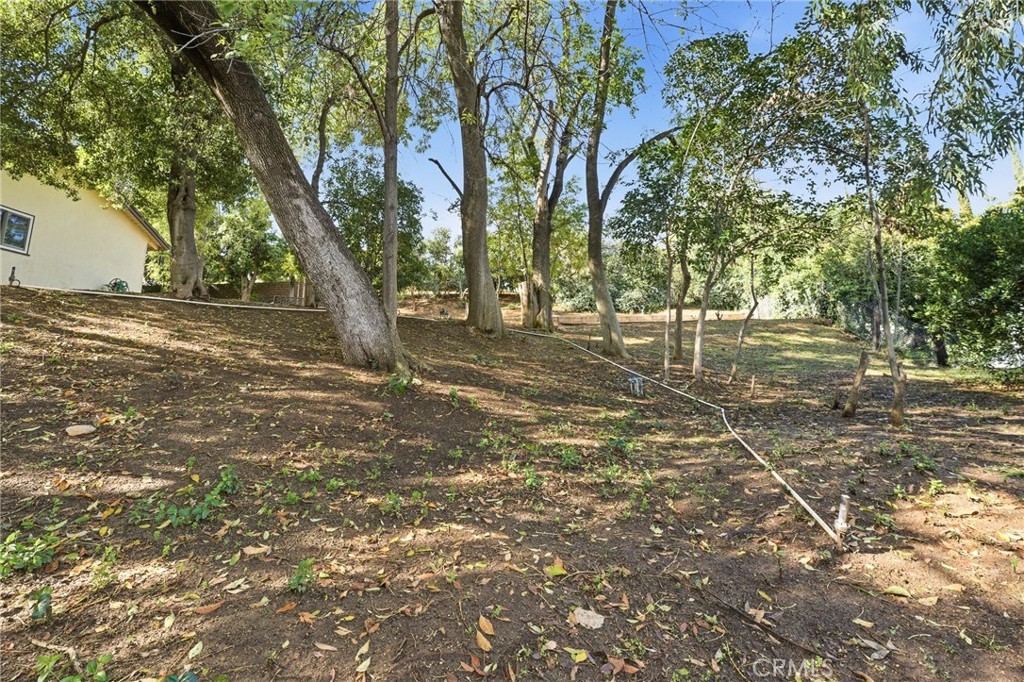 30993 Palo Alto Drive