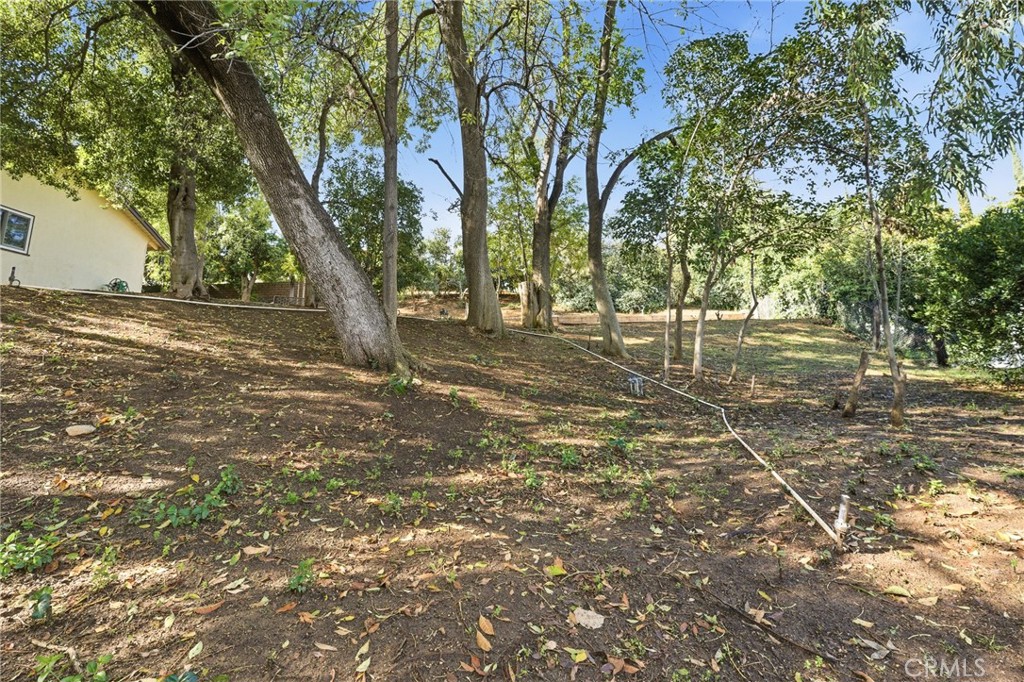 30993 Palo Alto Drive