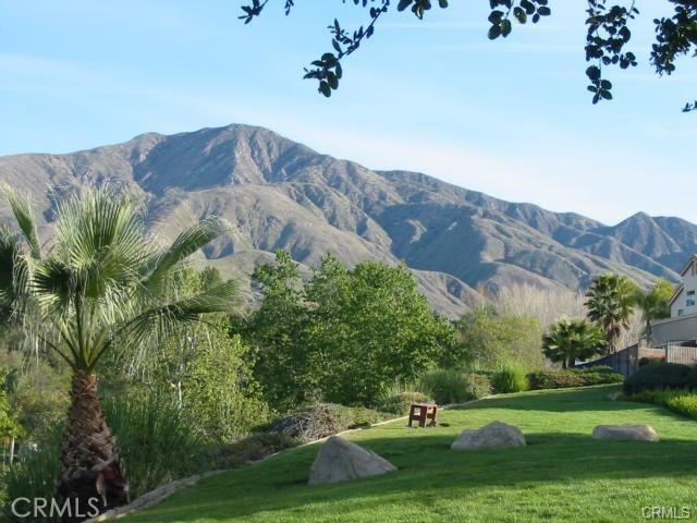 29029 Easton Lane