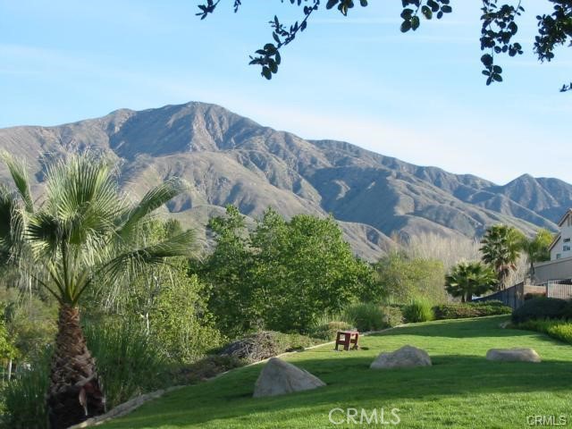 29029 Easton Lane