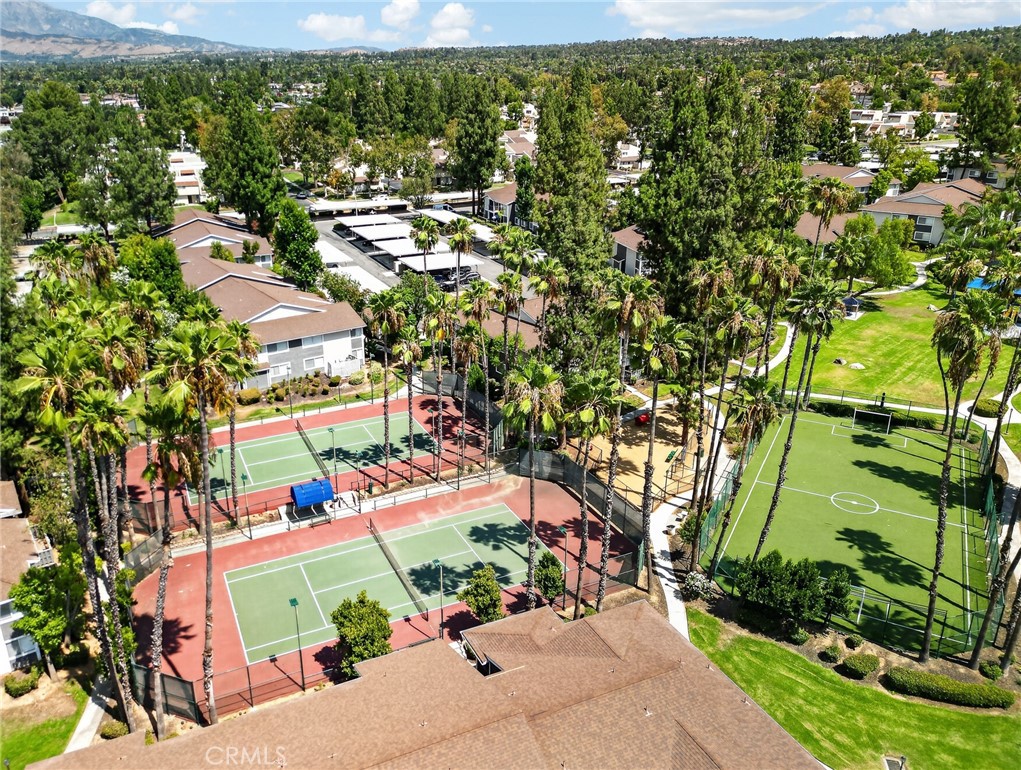 1555 Orange Avenue 1203