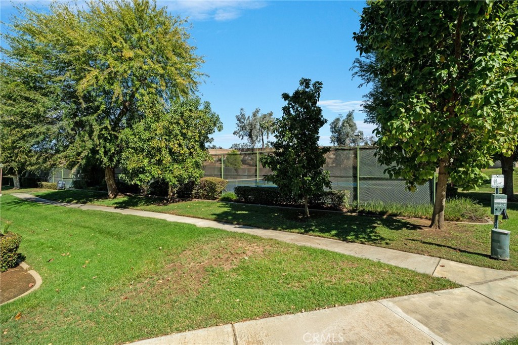803 E Palm Avenue