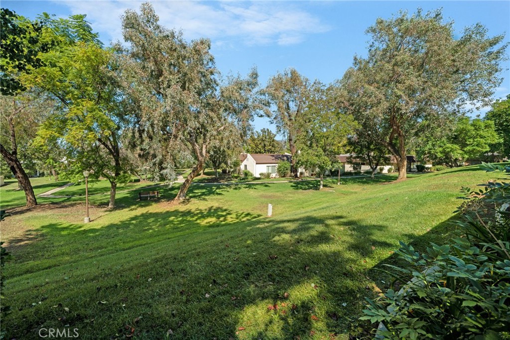 803 E Palm Avenue