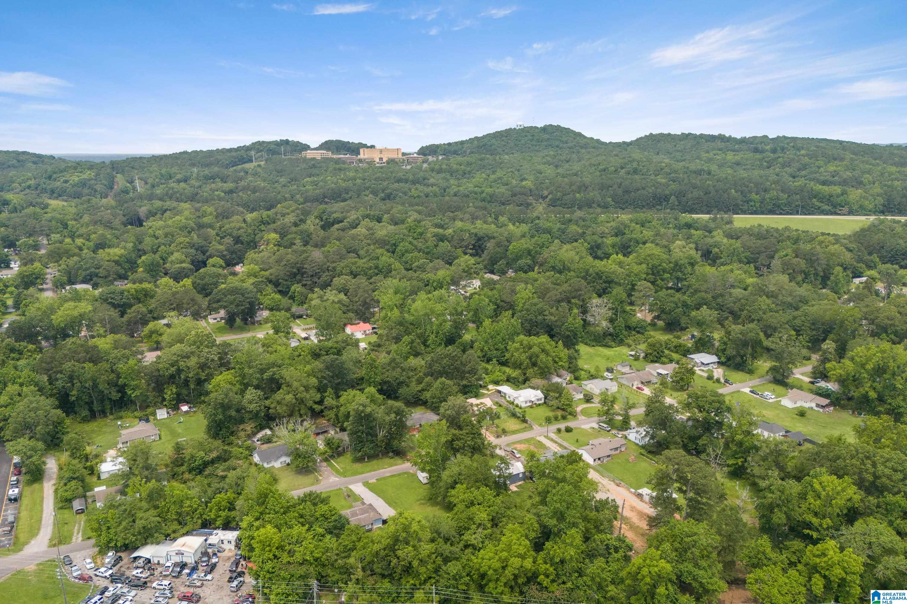 413 E FOREST DRIVE 1