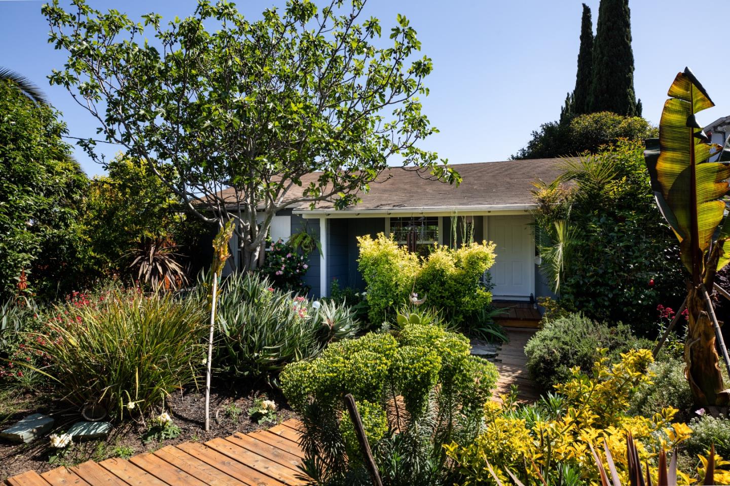 2336 Palo Verde Avenue