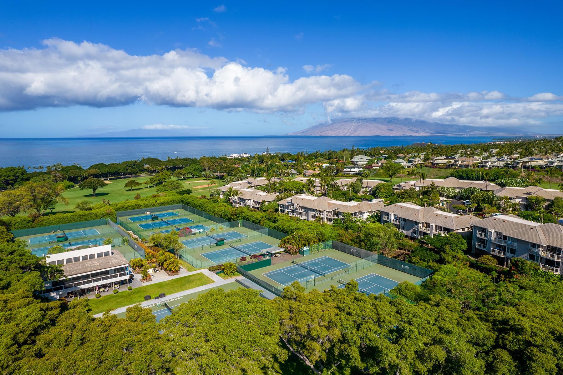 155 WAILEA IKE Pl Unit: 172