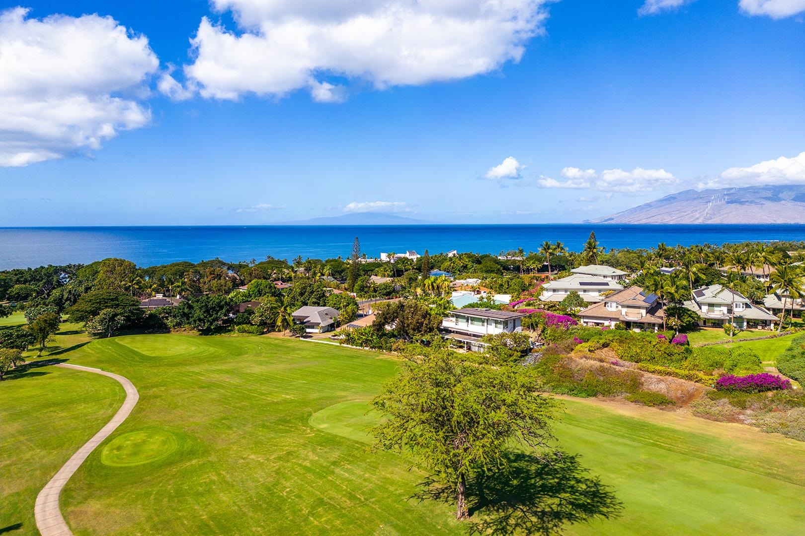 155 WAILEA IKE Pl Unit: 172