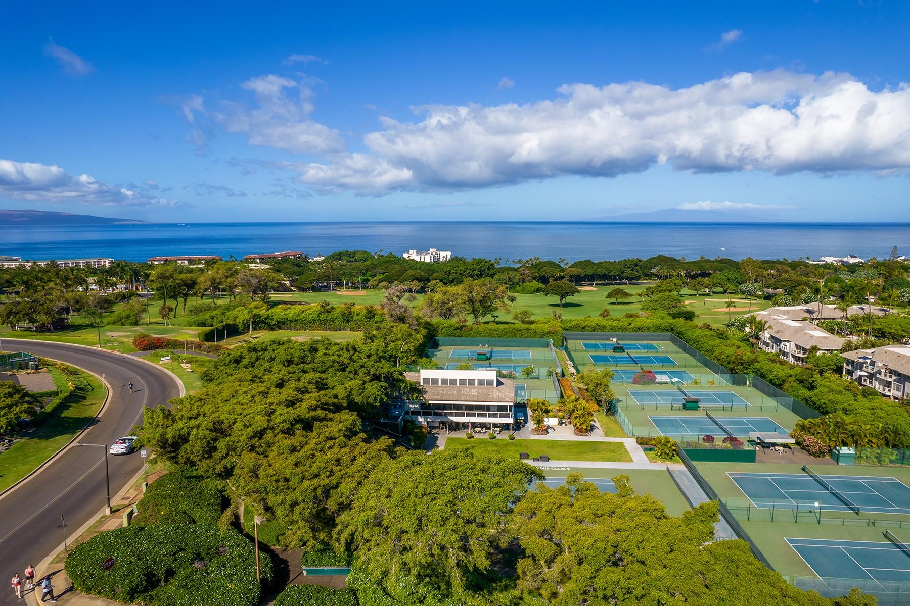 155 WAILEA IKE Pl Unit: 172