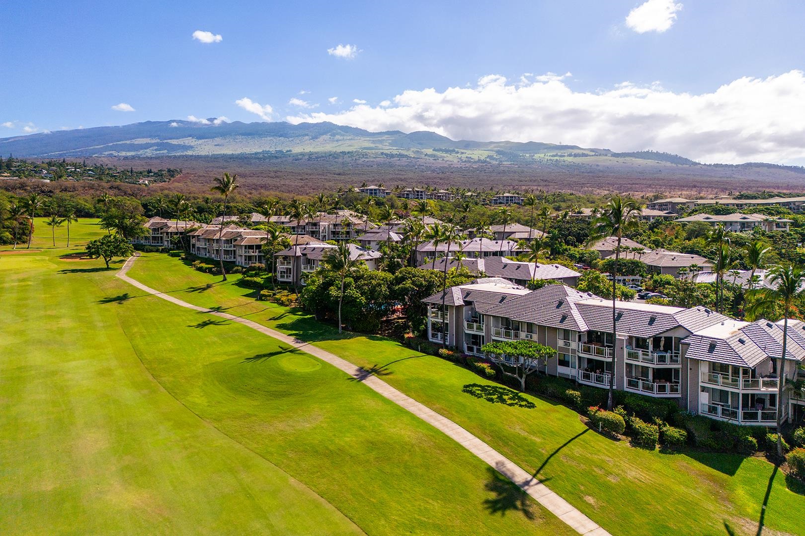 155 WAILEA IKE Pl Unit: 172