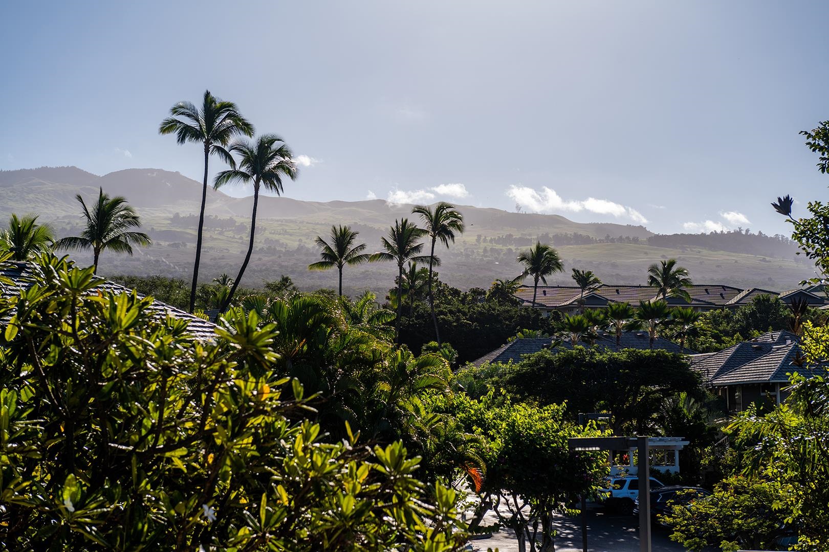 155 WAILEA IKE Pl Unit: 172