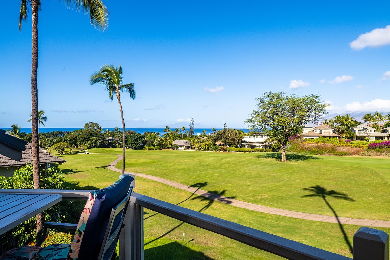 155 WAILEA IKE Pl Unit: 172