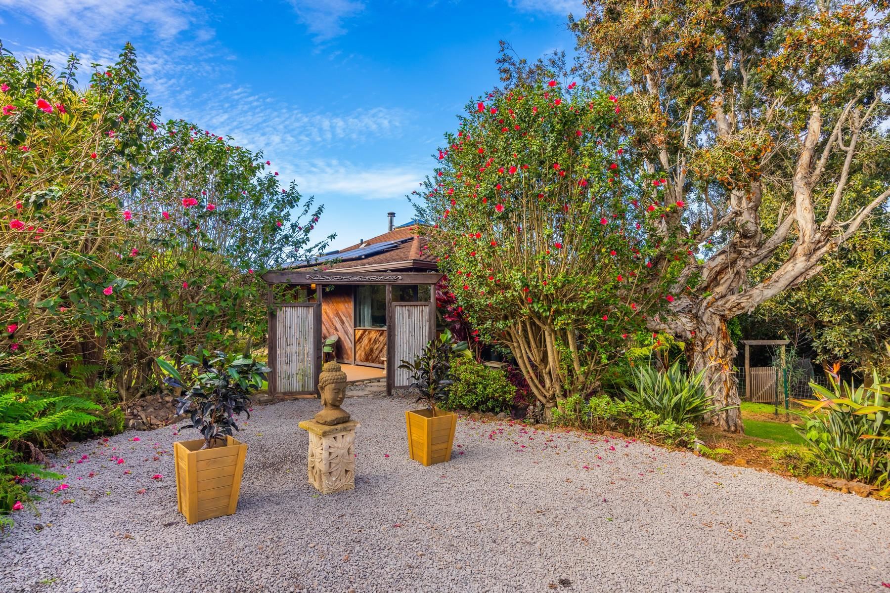 20 Cooke Rd