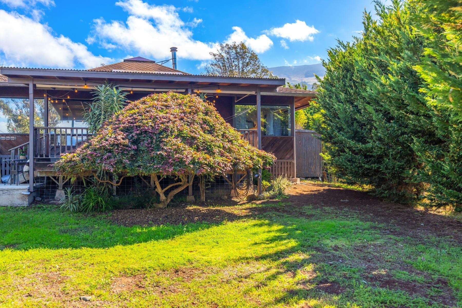 20 Cooke Rd