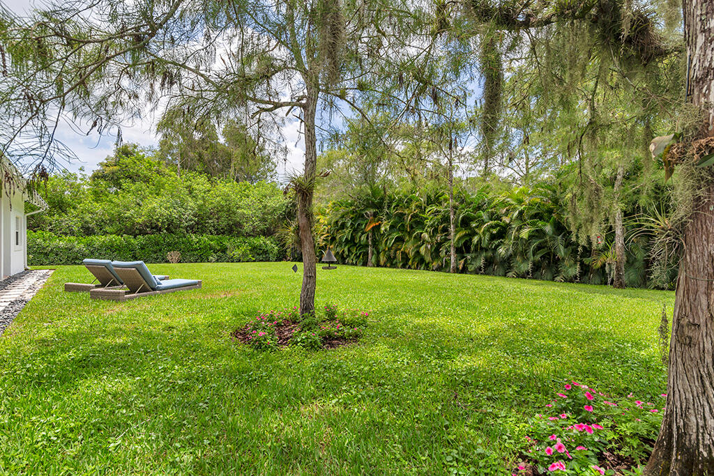 Landscaped backyard with a broad lawn, mature trees, tropical hedges, and two lounge chairs.