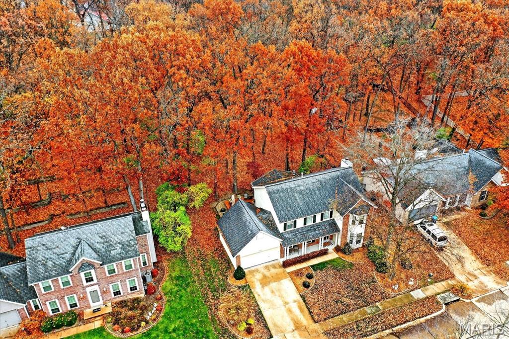 16559 Thunderhead Canyon Court