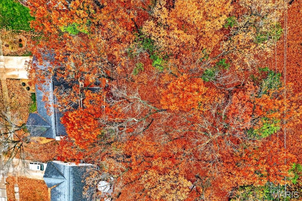 16559 Thunderhead Canyon Court