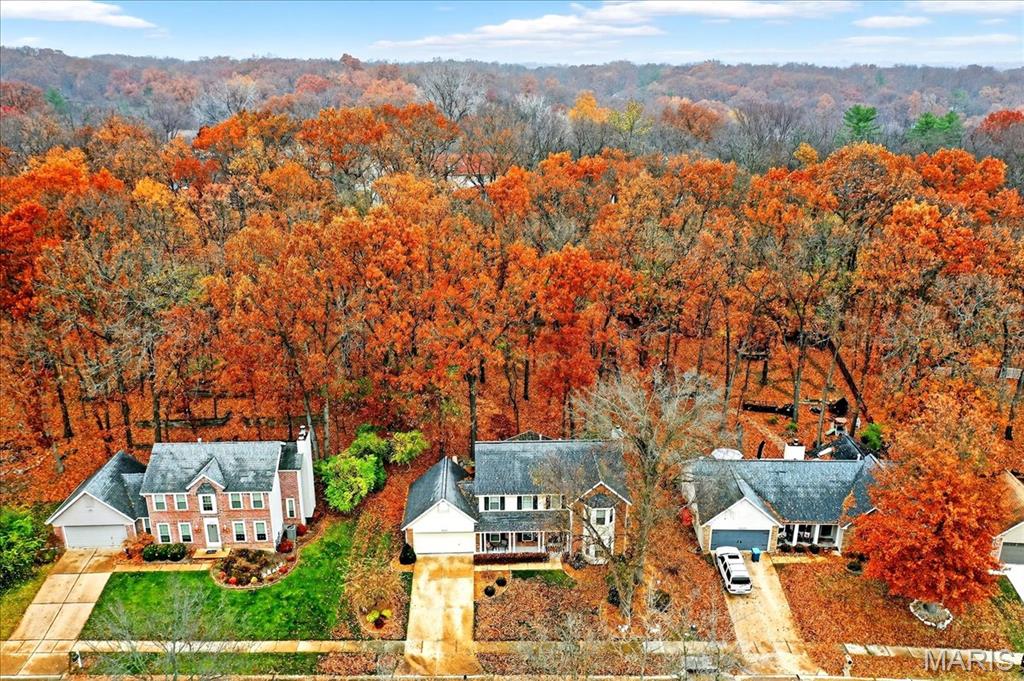 16559 Thunderhead Canyon Court