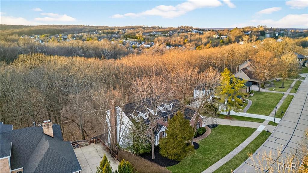 17716 Birch Leaf Court