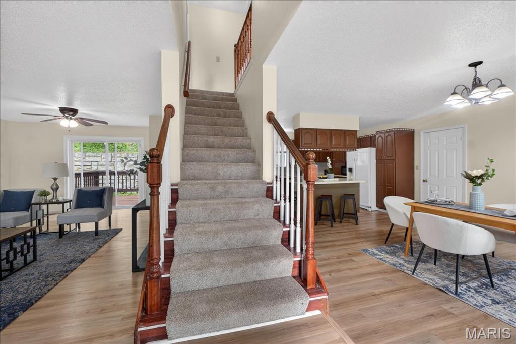 12228 Glenpark Drive