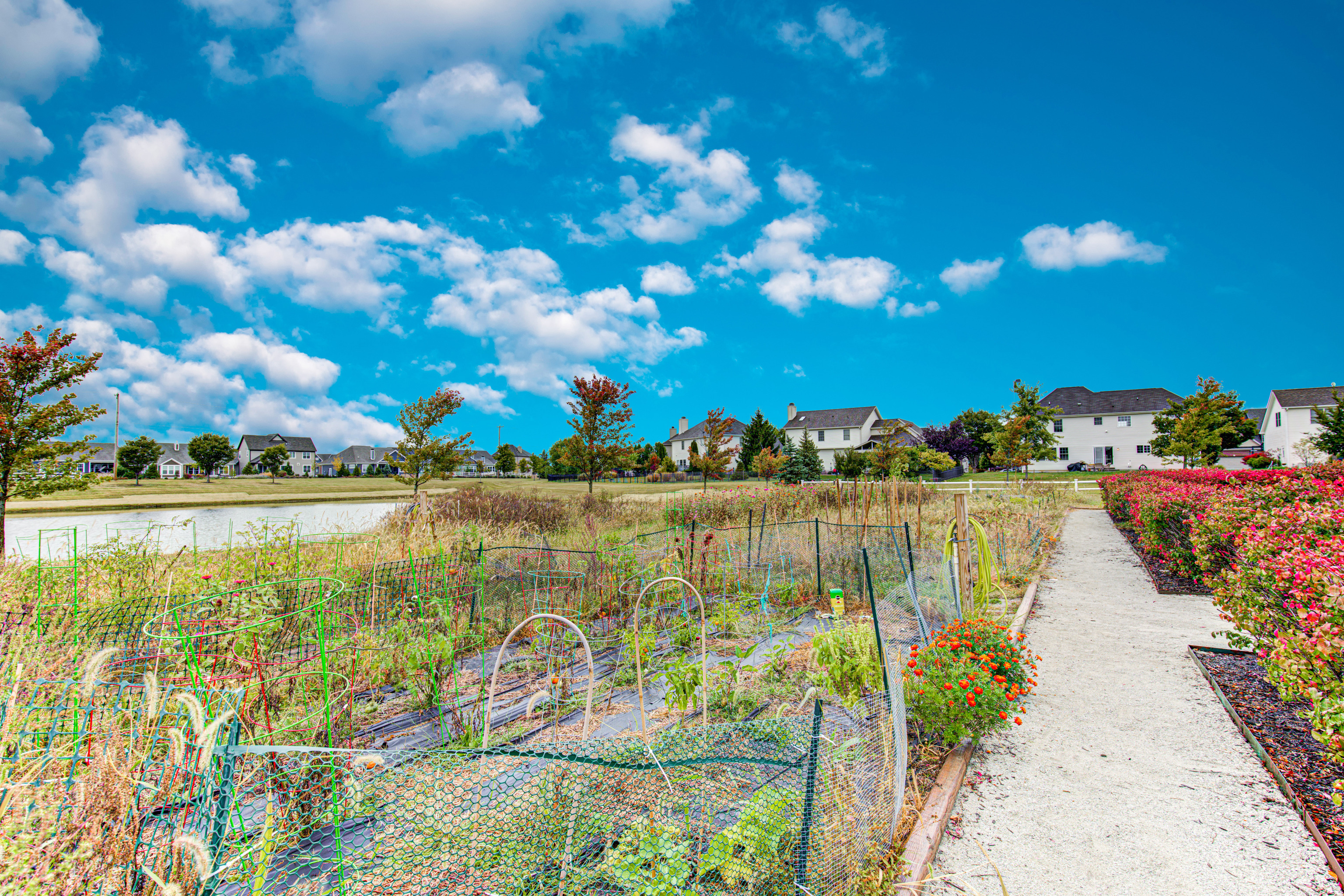 15369 Smithfield Drive