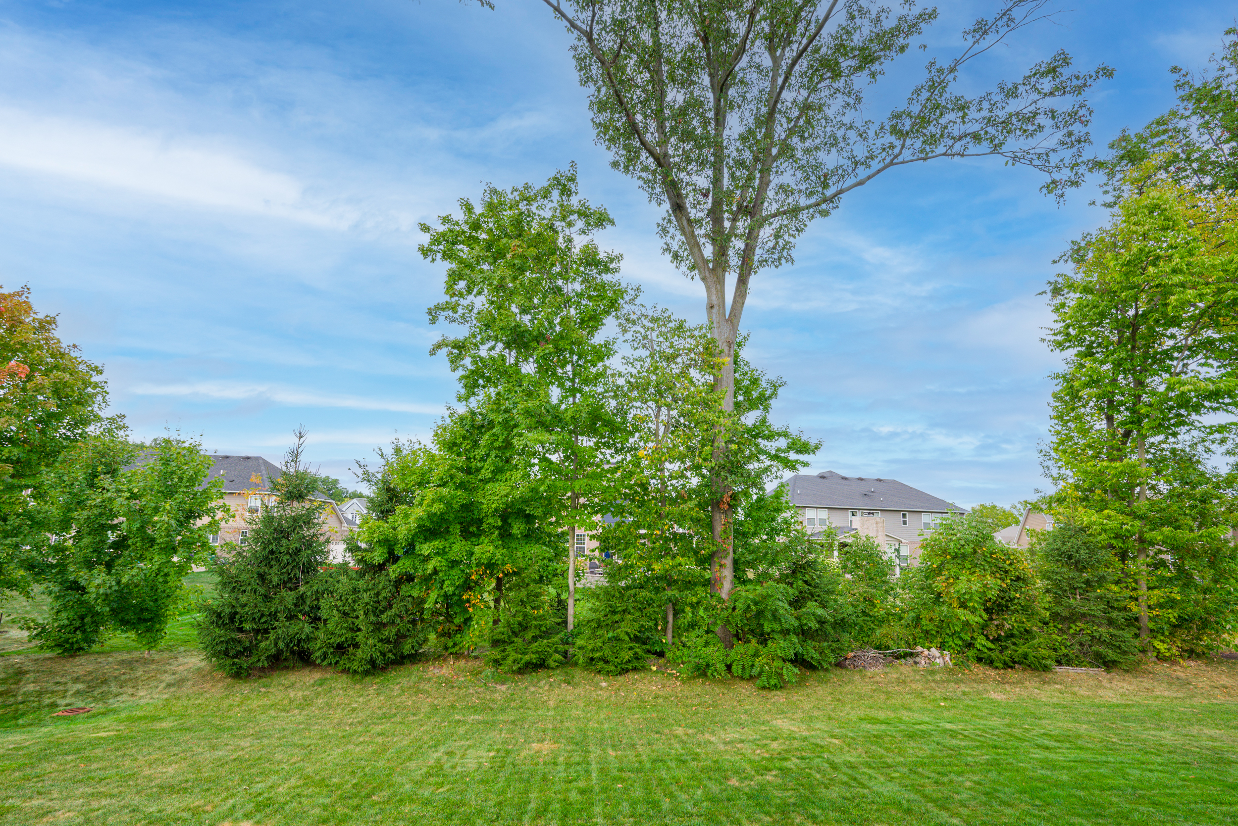 2510 Fawn Bluff Court