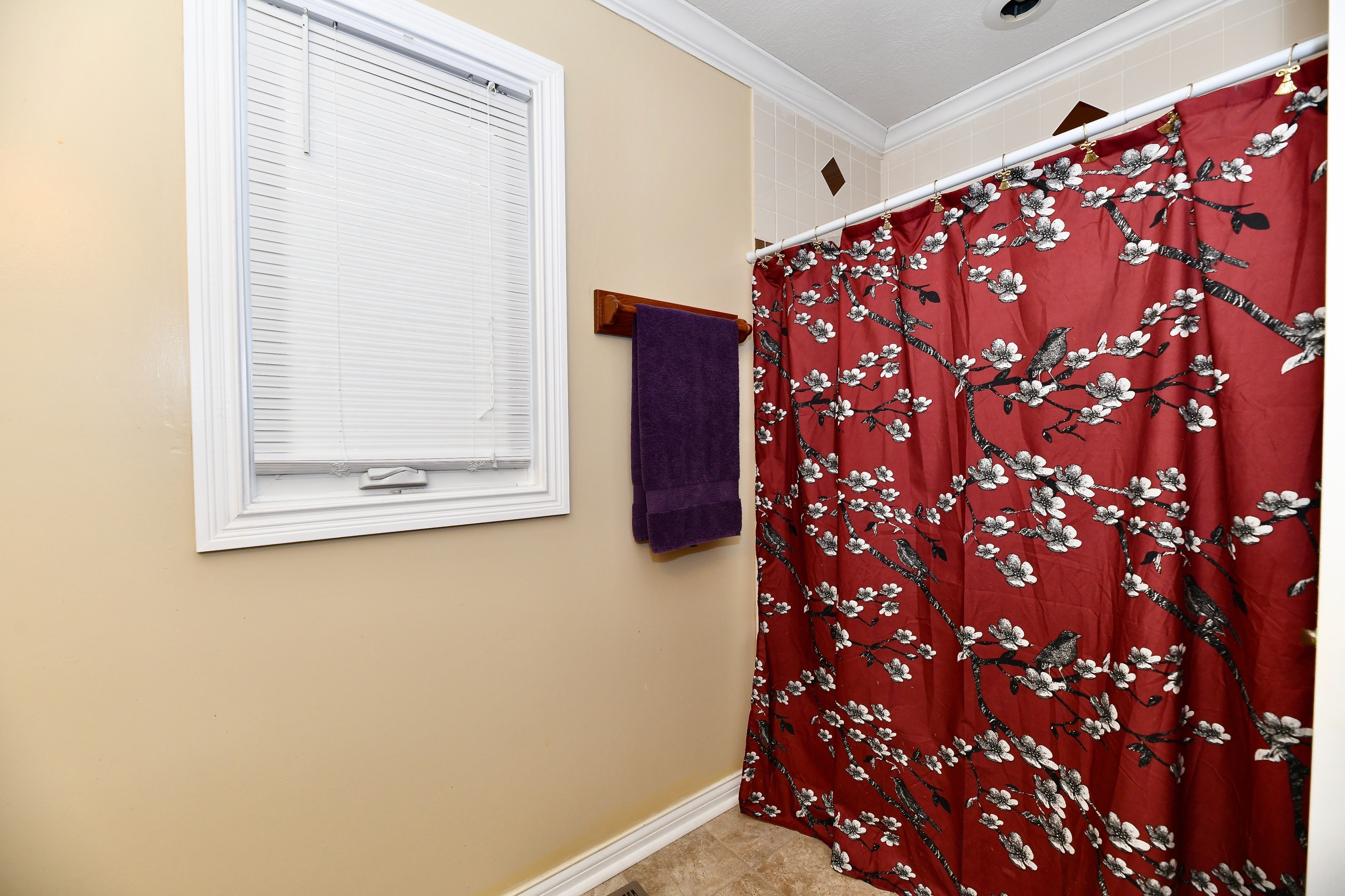 21110 Carrigan Crossing