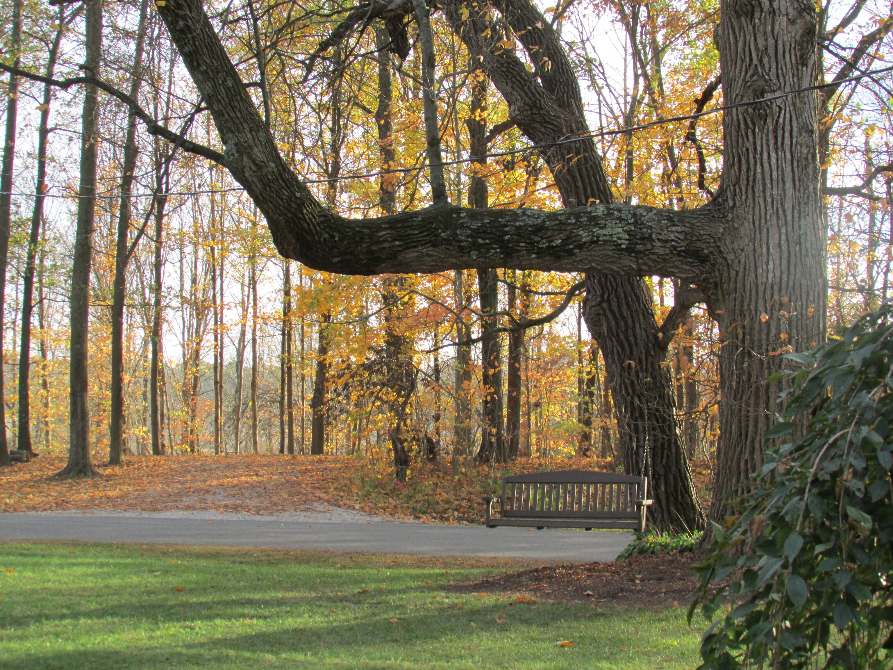 2520 W Blubaugh Avenue