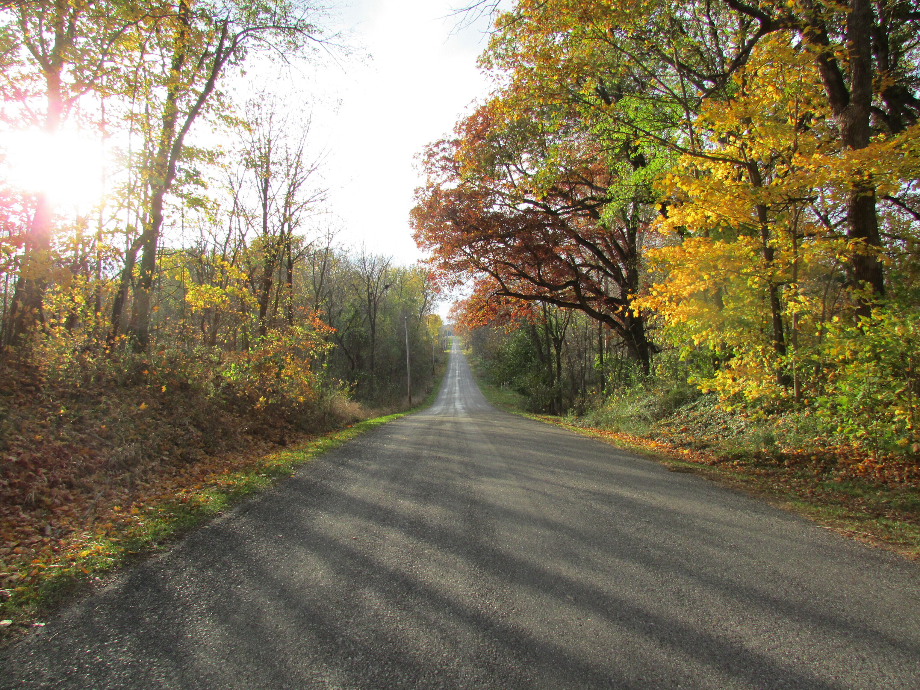 2520 W Blubaugh Avenue