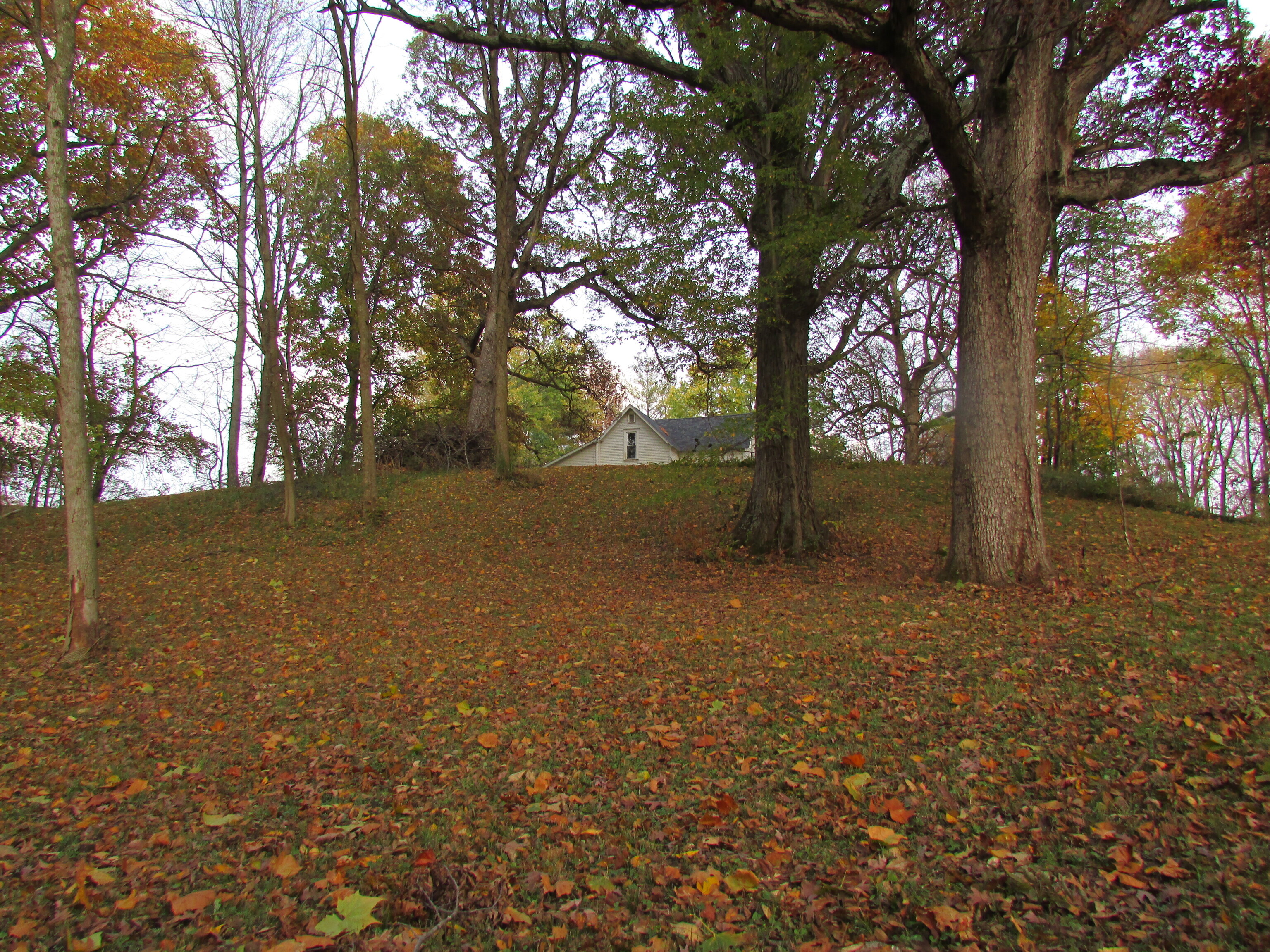 2520 W Blubaugh Avenue