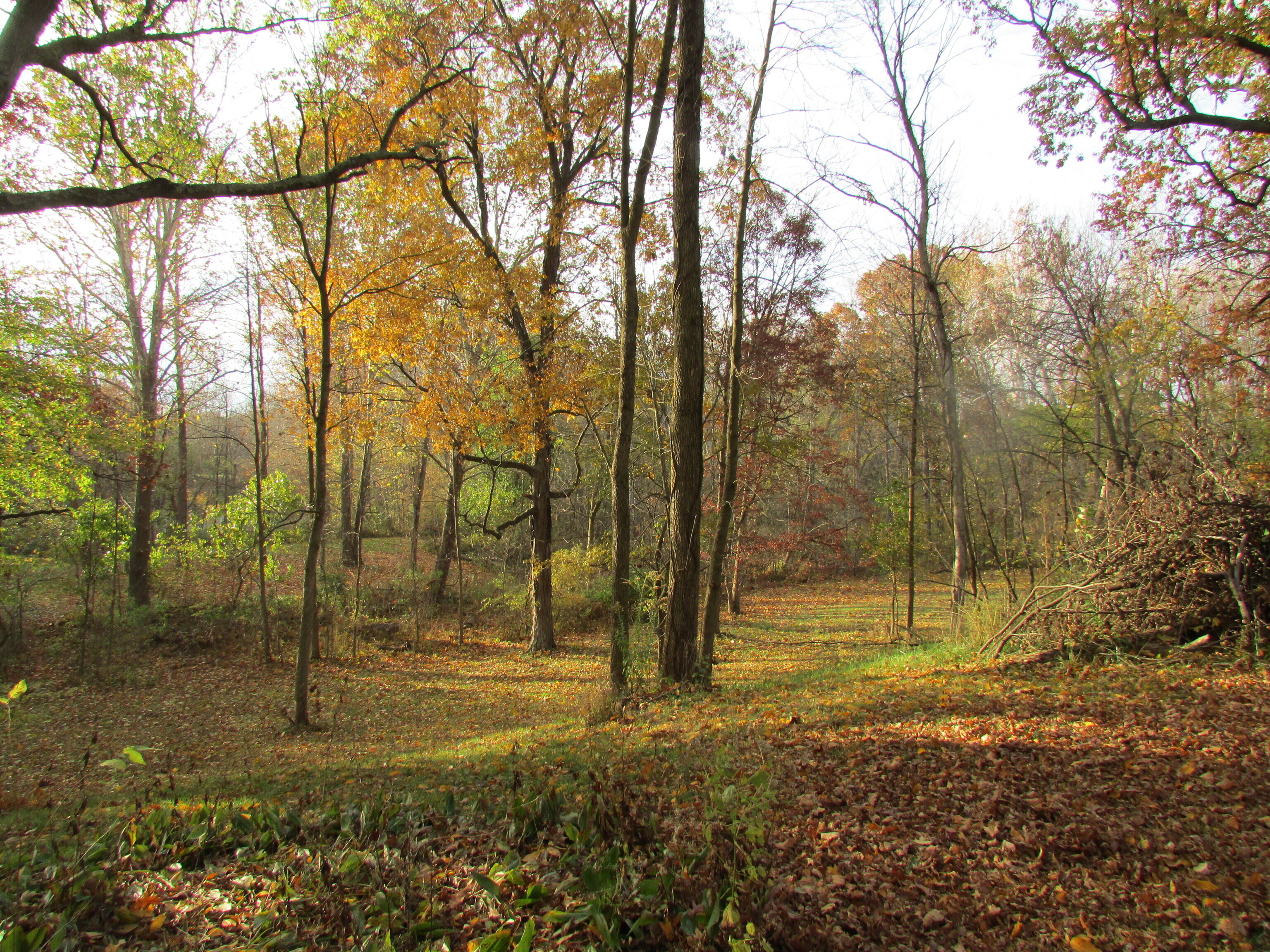 2520 W Blubaugh Avenue