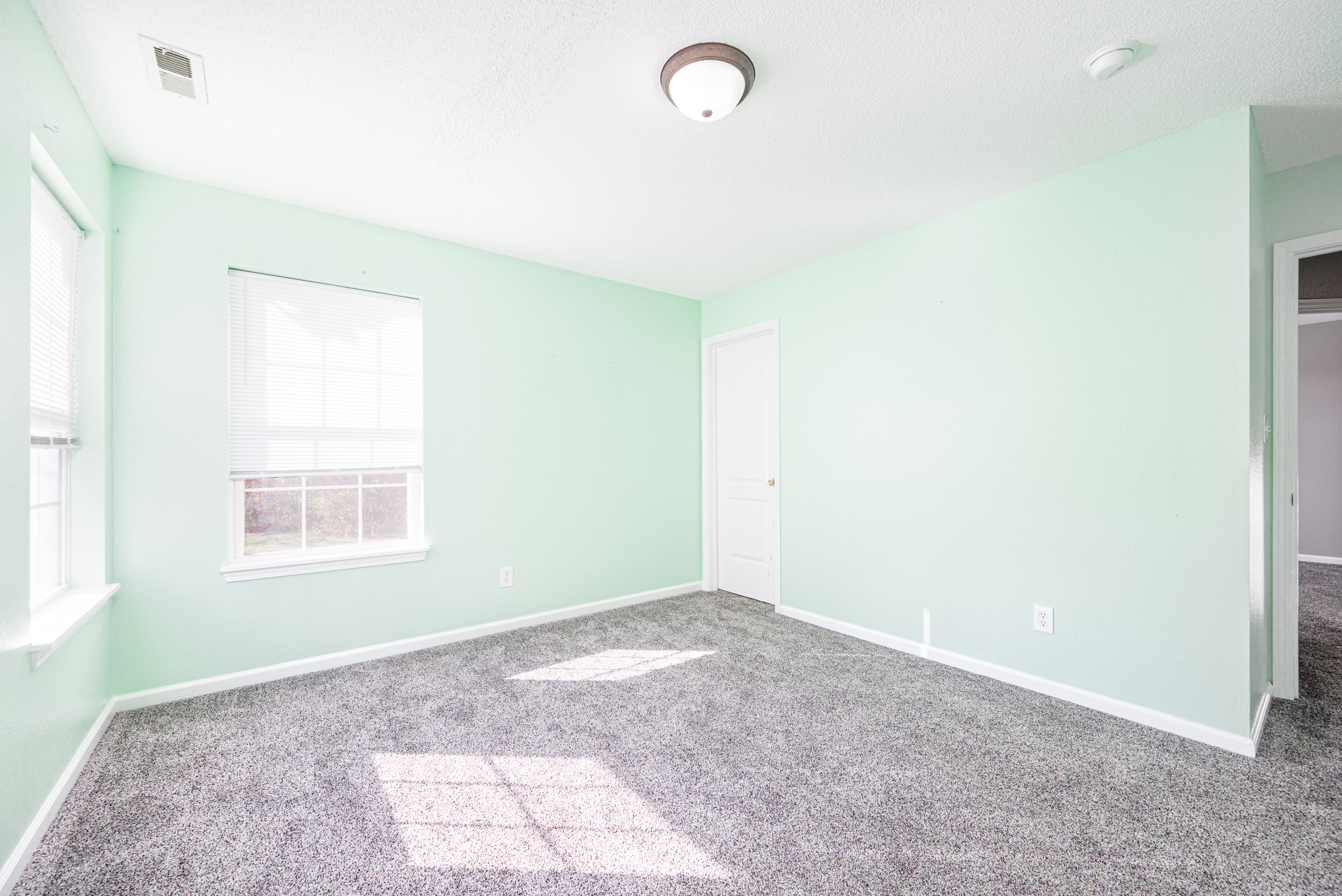 3472 Firethorn Drive