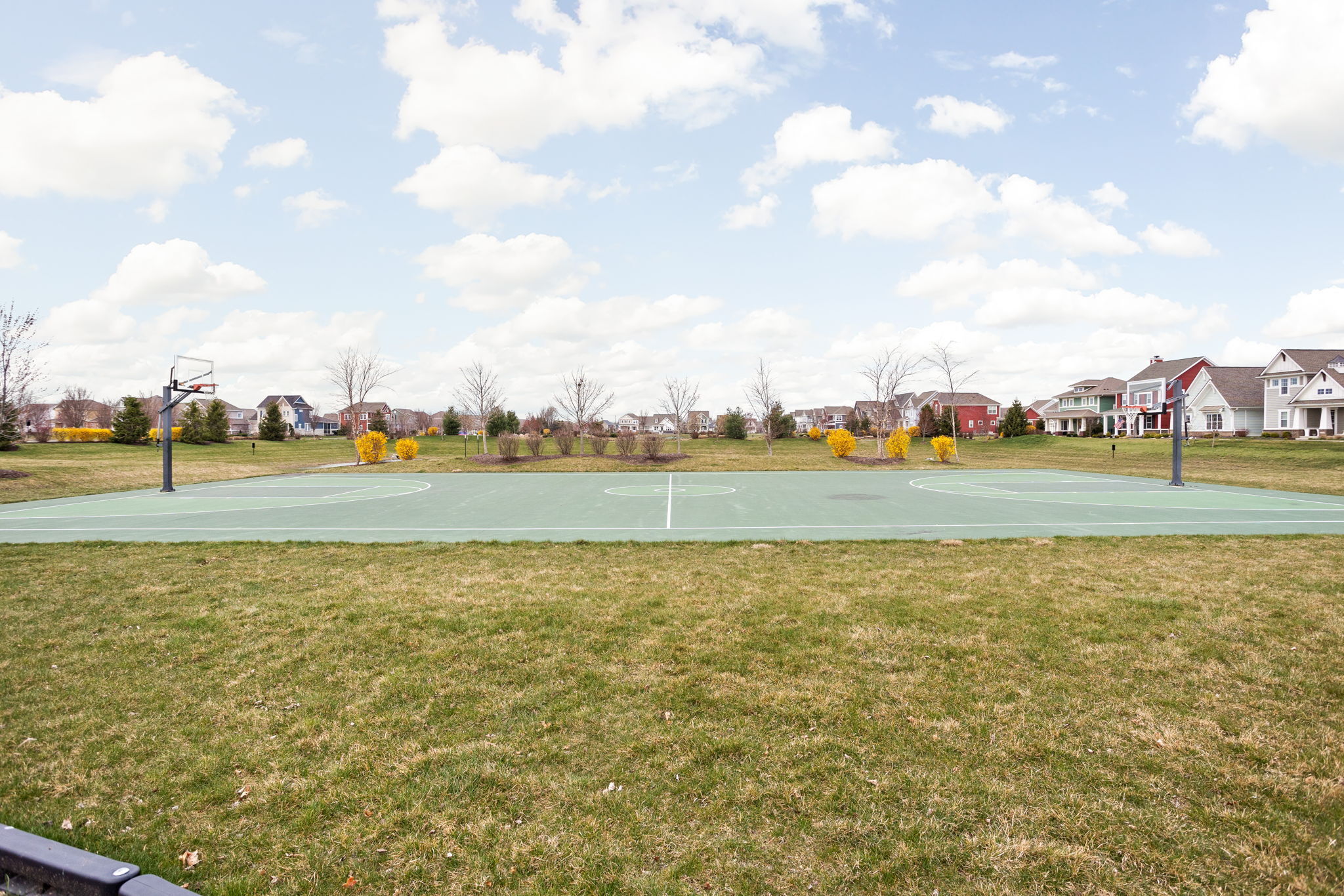 15389 Holcombe Drive