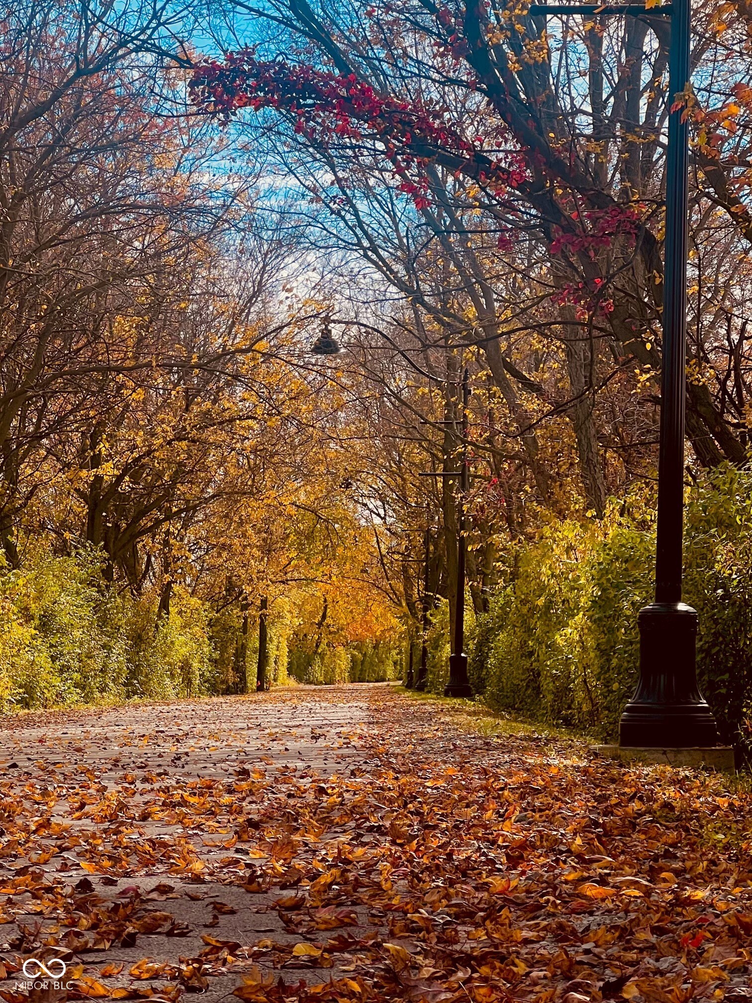 804 James William Lane