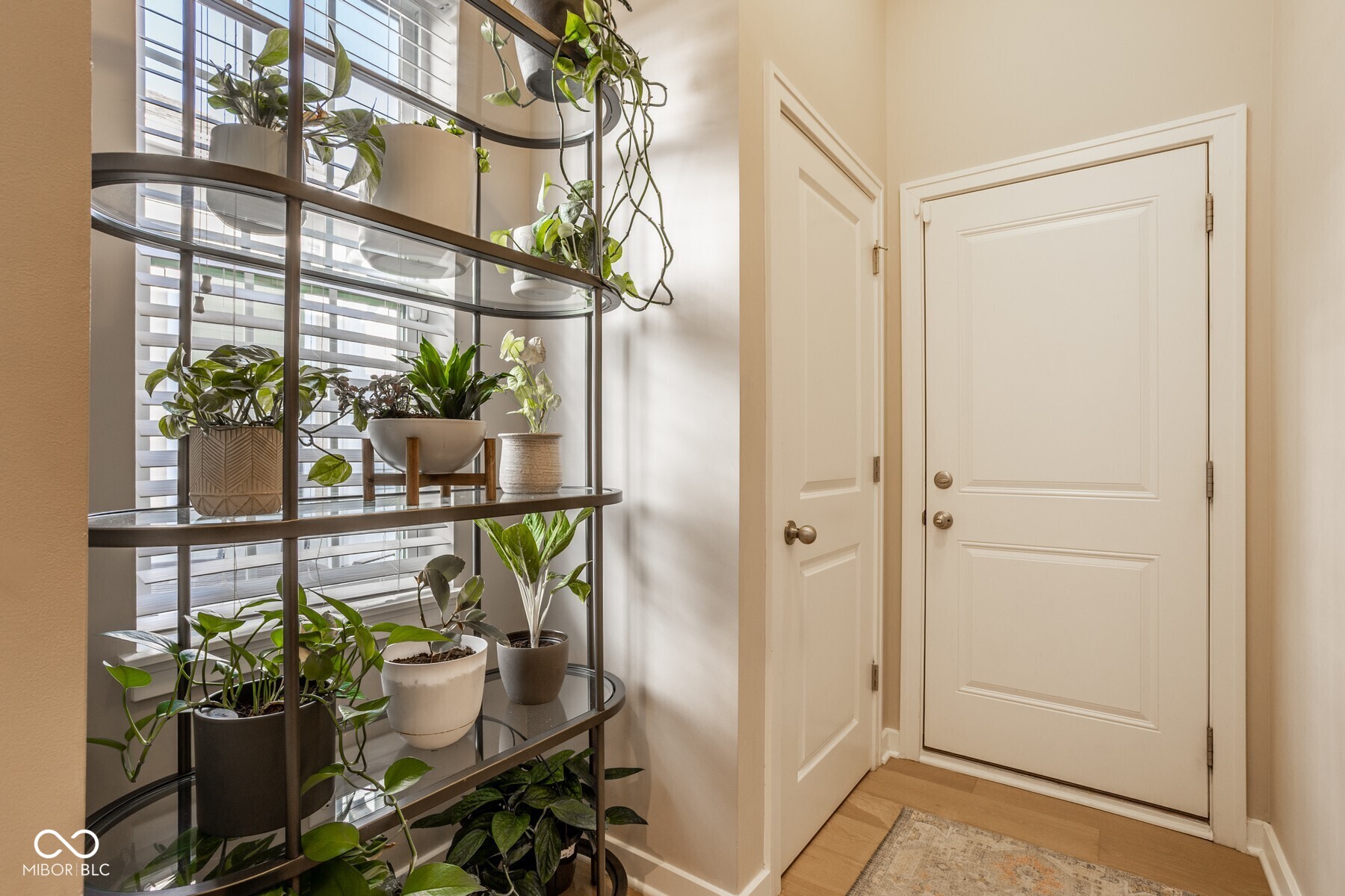1444 Waterleaf Drive