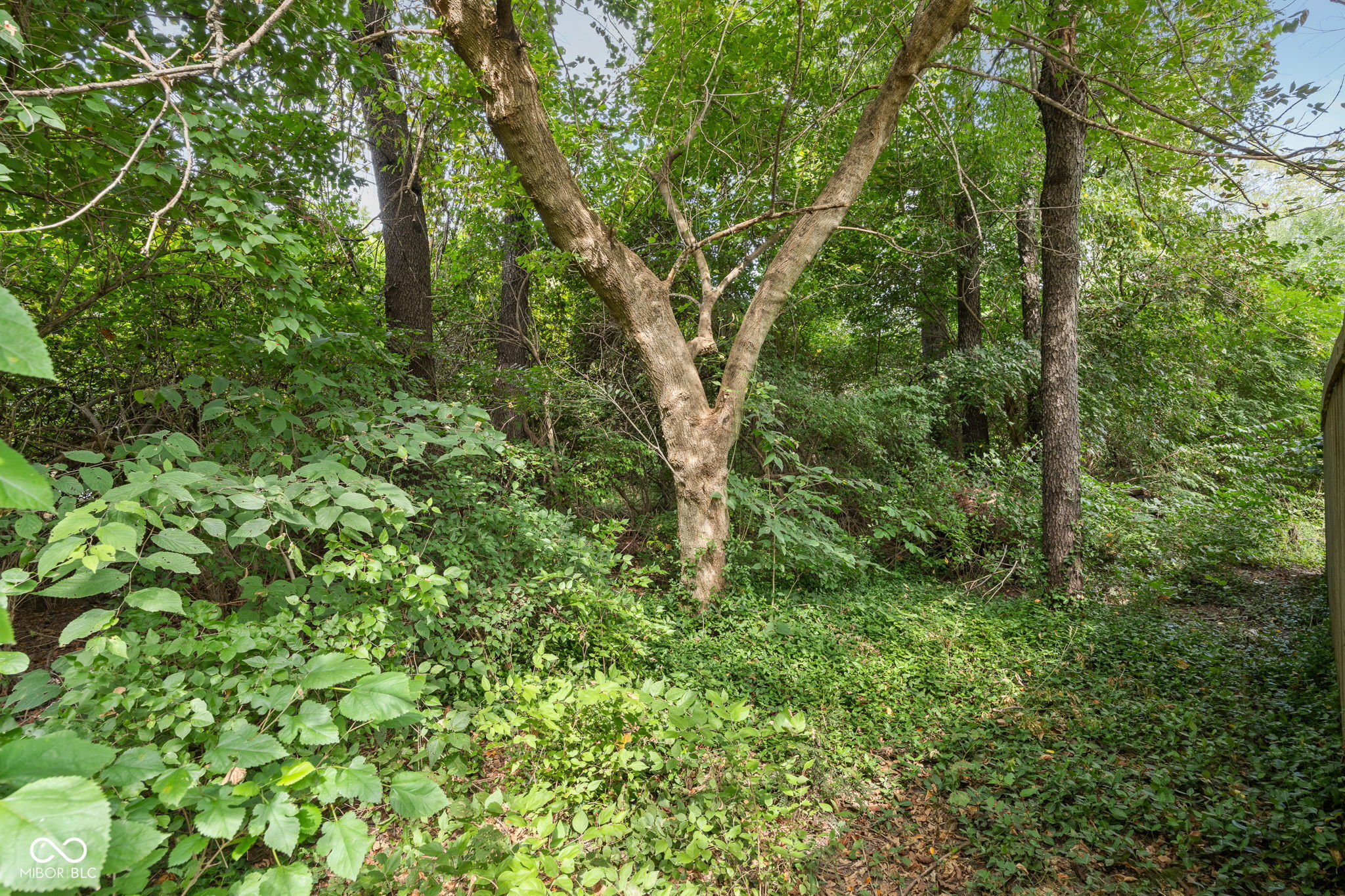 3038 Sunmeadow Court