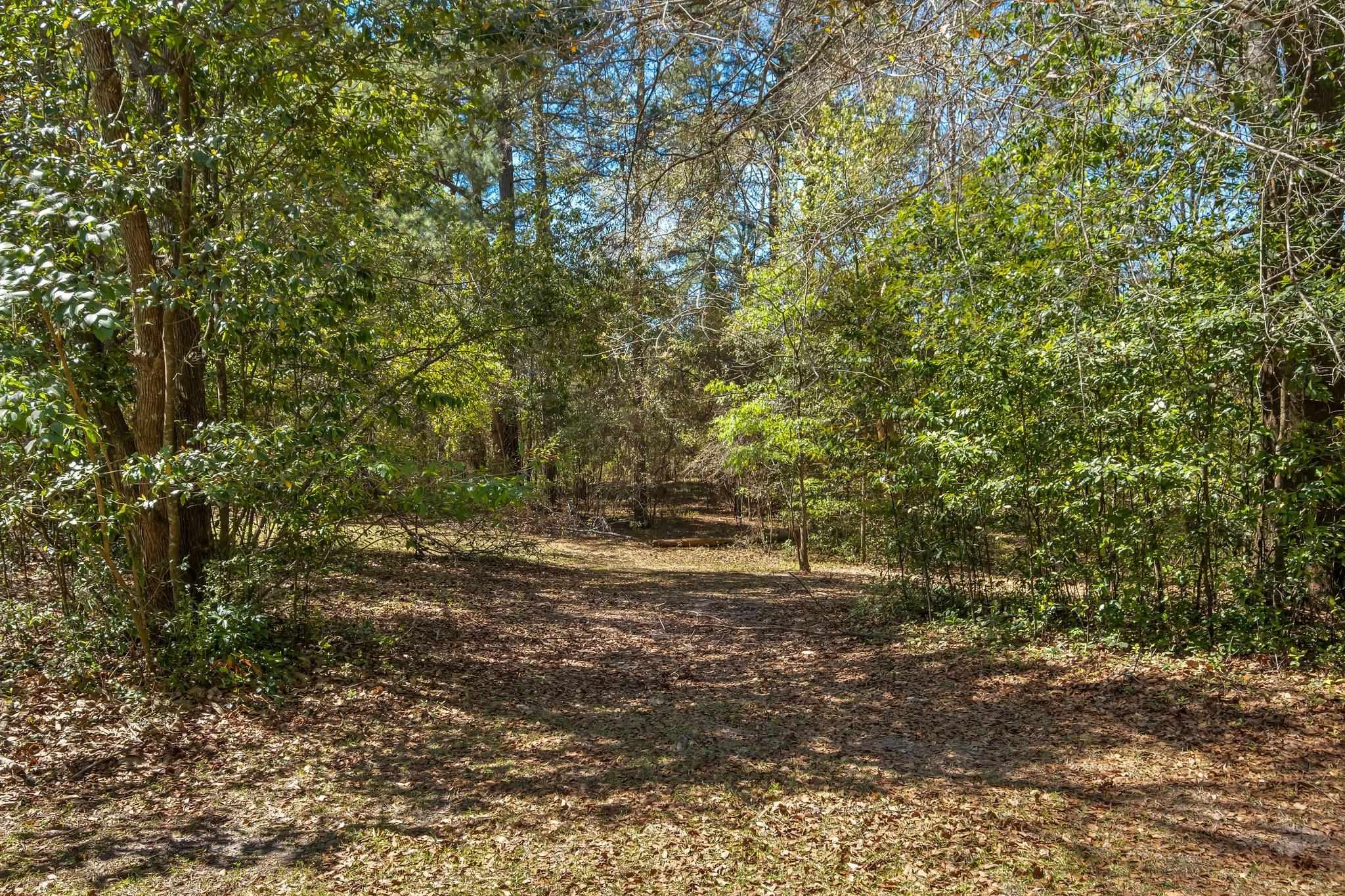 5121 Buck Lake Road