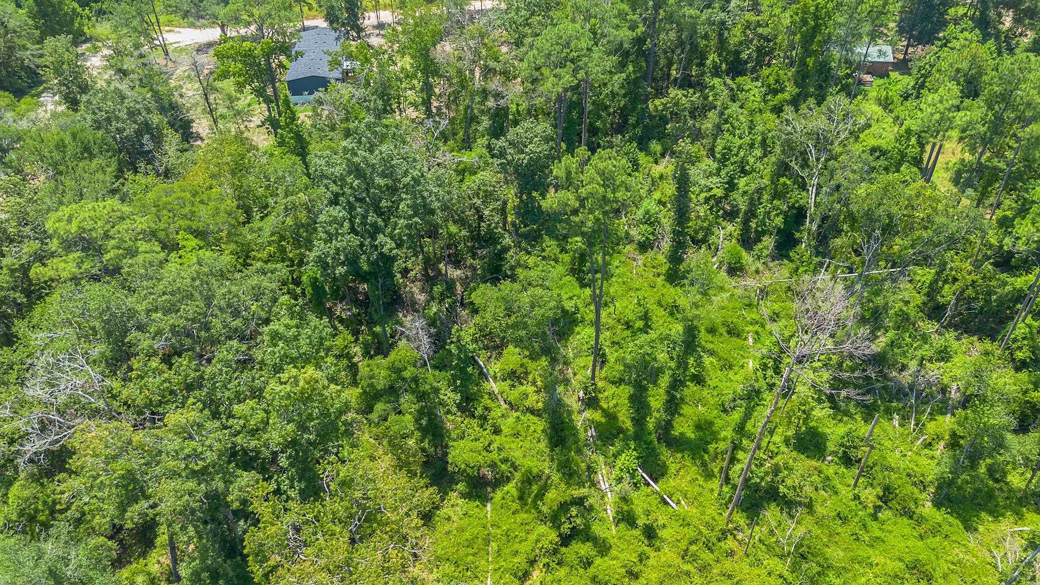 0 N Forest Court