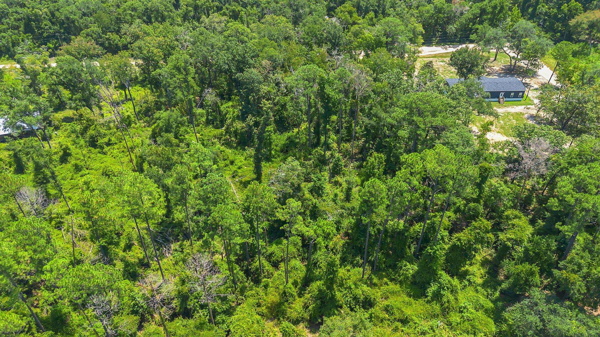 0 N Forest Court
